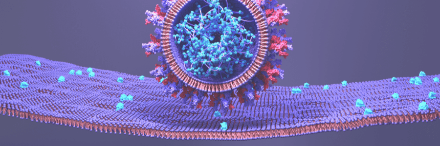 Covid-19 and ACE2 Receptor