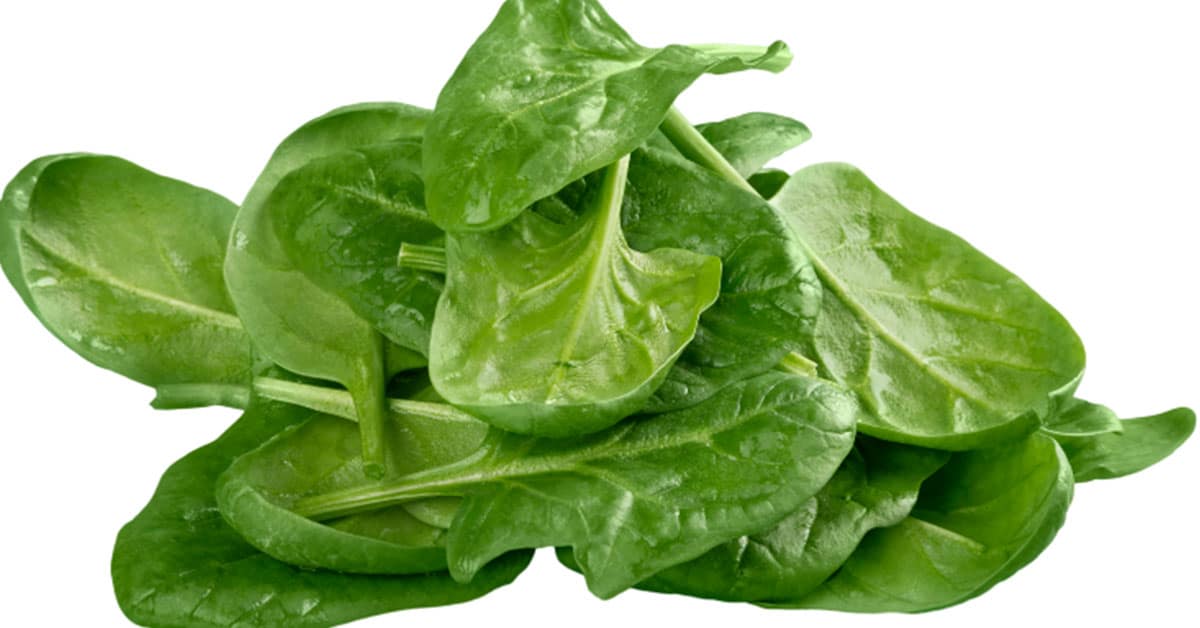 Why Does Spinach Make My Mouth Dry| Lubricity Innovations