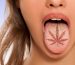 Cannabis 