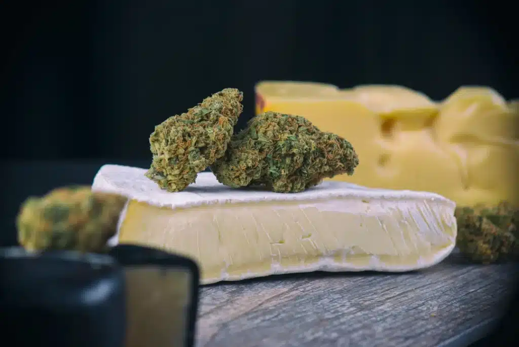 Cannabis and Food Pairing Cheese