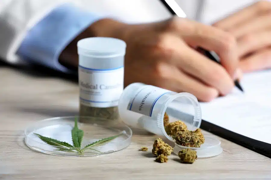 Mastering Cannabis Terms Medical Marijuana