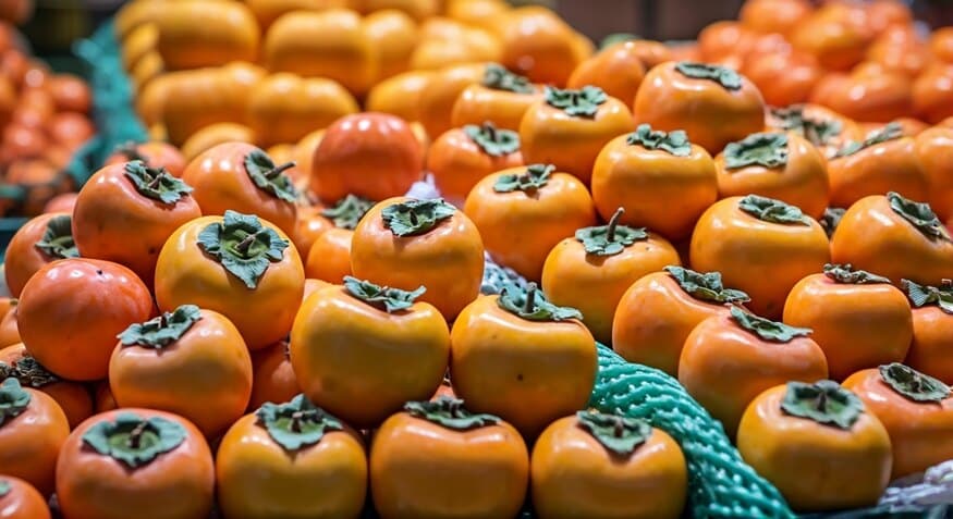 Comparing Varieties of Persimmons