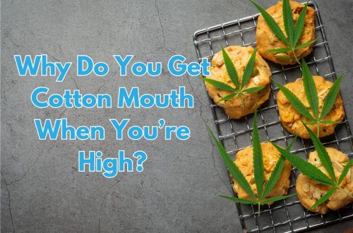 Why Do You Get Cotton Mouth When You’re High