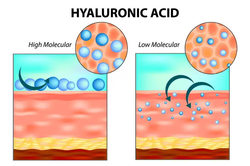 A graphic showing the difference in molecule size between hyaluronic acid and sodium hyaluronate as Lubricity contains sodium hyaluronate due to its smaller molecular size allowing it to better support your oral health.